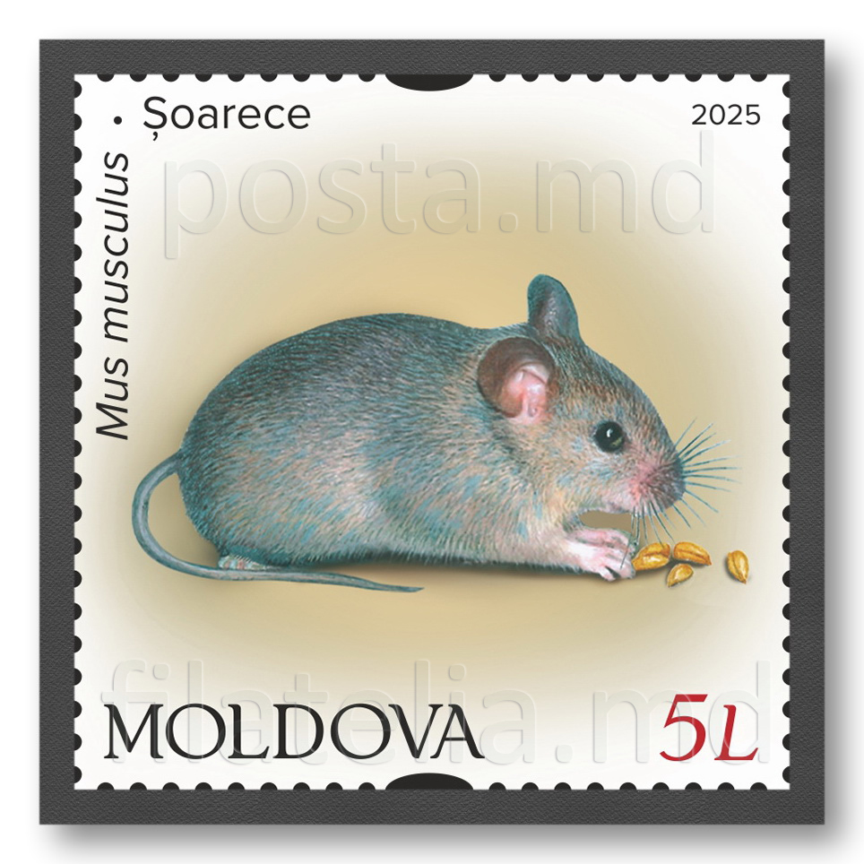 MP1385 ”Faună. Mamifere rozătoare.” (marca ”Șoarece”)
