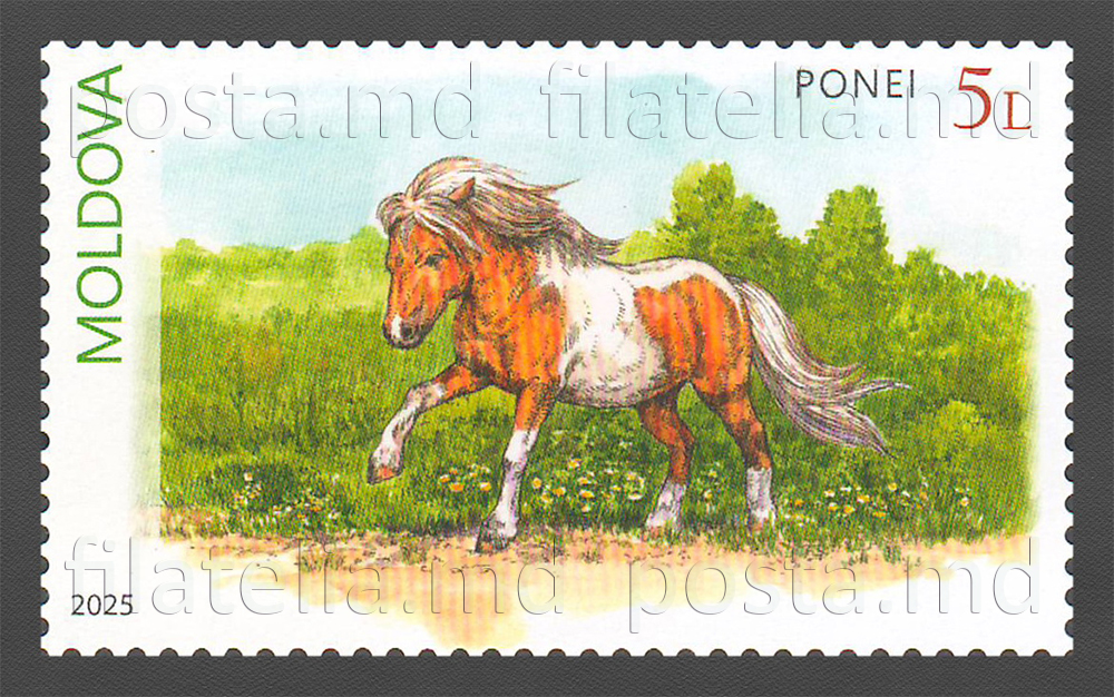 MP1366 ”Rase de cai” (marca ”Ponei”)