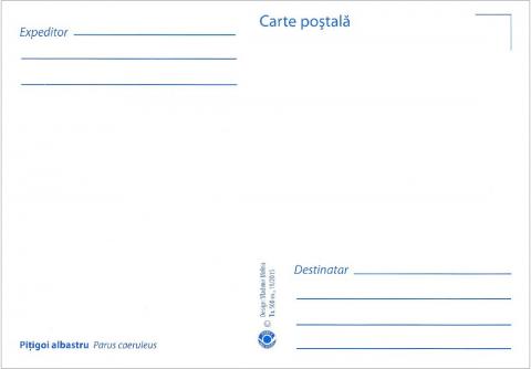 IM0087 (verso) "Păsări din arealul Moldovei" /"Pițigoi albastru. Parus caeruleus."/