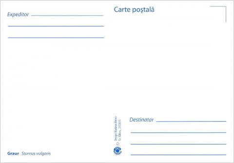 IM0085 (verso) "Păsări din arealul Moldovei" /"Graur. Sturnus vulgaris."/
