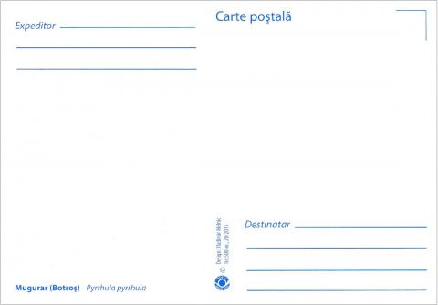IM0086 (verso) "Păsări din arealul Moldovei" /"Mugurar. Pyrrhula pyrrhula."/