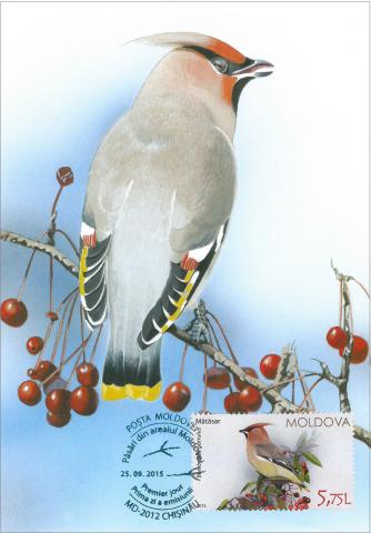 IM0088 "Păsări din arealul Moldovei" /"Mătăsar. Bombycilla garrulus.", marca MP0953/