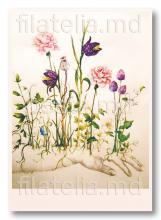 CPO11/2024 ”Flori” (carte poștală ordinară, verso)