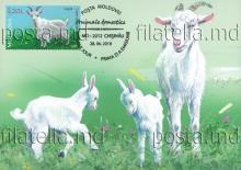 IM0115 „Domestic animals”/ „Goat”, stamp MP1132/