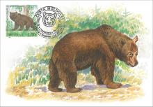 IM 0023 ”Grădina zoologică din Chișinău” /Ursul brun. Ursus arctos.”, marca MP0430/