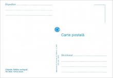 IM 0023 ”Grădina zoologică din Chișinău” /Ursul brun. Ursus arctos.”/