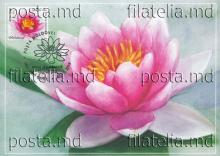 IM0113 „Floră. Nuferi.” /`Nufăr roz", marca MP1126/