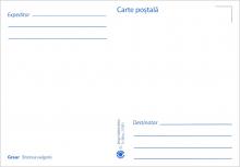IM0085 (verso) "Păsări din arealul Moldovei" /"Graur. Sturnus vulgaris."/