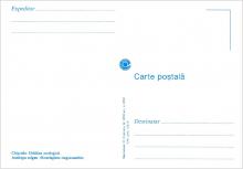 IM 0024 (verso) ”Grădina zoologică din Chișinău” /Antilopa nilgau. Boselaphus tragocamelus”/
