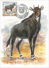 IM 0024 ”Grădina zoologică din Chișinău” /Antilopa nilgau. Boselaphus tragocamelus”, marca MP0431/