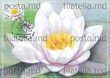 IM0114 „Floră. Nuferi.” /`Nufăr alb", marca MP1127/