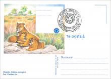 IM 0025 (verso) ”Grădina zoologică din Chișinău” /”Leu. Pantera leo.”/