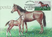 IM0118 „Domestic animals”/ „Horse”, stamp MP1135/