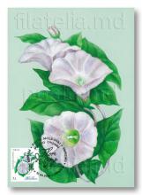 IM0140 ”Flori de câmp” (carte poștală ilustrată maximă ”Volbură”, verso)