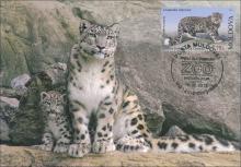 IM0077 ”Grădina Zoologică din Chișinău.” /”Leopardul zăpezilor. Panthera unica.”, marca MP0858/