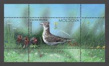 MP0954 "Păsări din arealul Moldovei" /"Ciocârlie-de câmp. Alauda arvensis.", coliță/