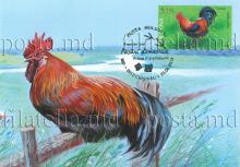 IM0101 ”Păsări domestice” /”Cocoș. Gallus gallus.”, marca MP1086/