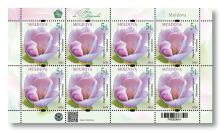 MP1378 ”Flori de magnolii” (coala ”Magnolia x  soulangeana ”Alexandrina”)