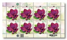 MP1380 ”Flori de magnolii” (coala ”Magnolia ”Genie”)