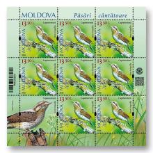MP1418 „Păsări cântătoare din arealul Moldovei” (coala „Capîntortură. Jynx torquilla.”)