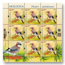 MP1419 „Păsări cântătoare din arealul Moldovei” (coală „Gaiță. Garrulus glandarius.”)