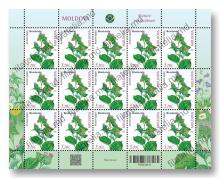 MP1422 „Natura vindecătoare. Plante medicinale.” (coala „Brusturele. Arctium lappa.”)