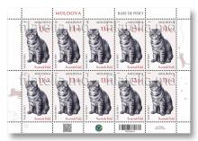 MP1428 „Pisici de rasă” (coala „Scottish Fold”)