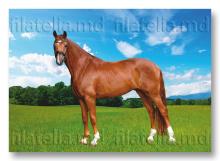 CPO17/2025 ”Horse breeds. Hanoverian horse.” (ordinary postcard)