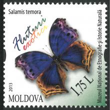 MP0867 ”Fluturi exotici” /”Salamis temora”/