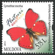 MP0868 ”Fluturi exotici” /”Cimothoe excelsa”/