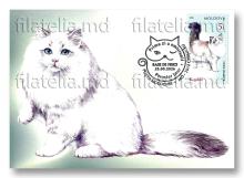 IM0171 „Pisici de rasă” (verso ilustrată maximă „Ragdoll”)