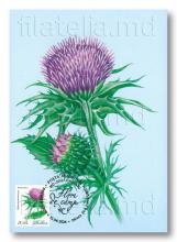 IM0144 ”Flori de câmp” (carte poștală ilustrată maximă ”Armurariu”, verso)