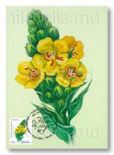 IM0145 ”Flori de câmp” (carte poștală ilustrată maximă ”Lumânărica”, verso)