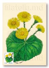IM0143 ”Flori de câmp” (carte poștală ilustrată maximă ”Podbal”, verso)