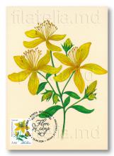 IM0141 ”Flori de câmp” (carte poștală ilustrată maximă ”Pojarnița”, verso)