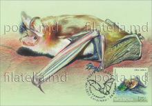 IM0095 ”Cartea Roșie a Republicii Moldova. Lilieci.” /”Liliac comun. Myotis myotis.”, marca MP1038/