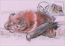 IM0097 ”Cartea Roșie a Republicii Moldova. Lilieci.” /”Liliac-mare-de-amurg-bicolor. Myctalus lasiopterus.”, marca MP1040/