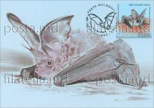 IM0098 ”Cartea Roșie a Republicii Moldova. Lilieci.” /”Liliac-urecheat-cenușiu. Plecotus austriacus.”, marca MP1041/