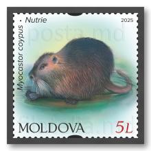 MP1386 ”Faună. Mamifere rozătoare.” (marca ”Nutrie”)