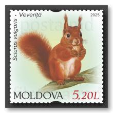 MP1387 ”Faună. Mamifere rozătoare.” (marca ”Veveriță”)