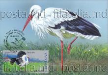 IM0110 „Europa 2019. Păsări naționale.” /„Barză albă”, marca MP1123/