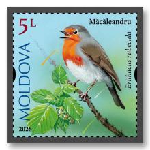 MP1417 „Păsări cântătoare din arealul Moldovei” (marca „Măcăleandru. Erithacus rubecula.”)