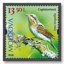 MP1418 „Păsări cântătoare din arealul Moldovei” (marca „Capîntortură. Jynx torquilla.”)