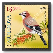 MP1419 „Певчие птицы Молдовы” (марка „Сойка. Garrulus glandarius.”)